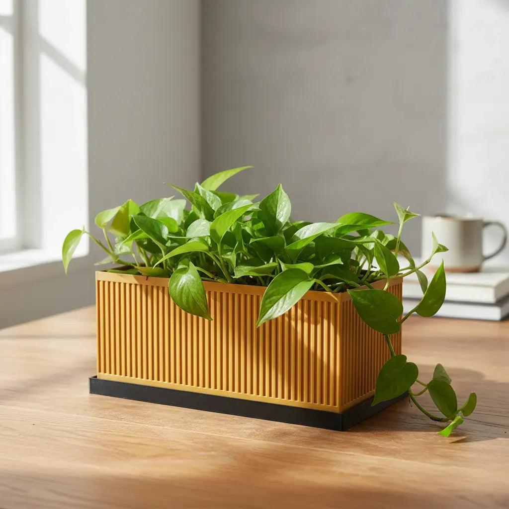 Vaso de Plantas Minimalista