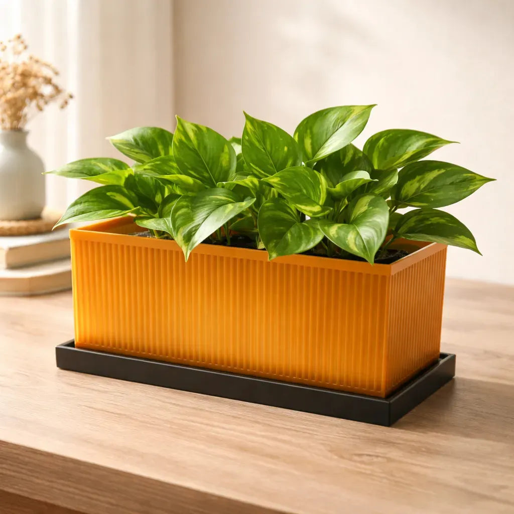 Vaso de Plantas Minimalista